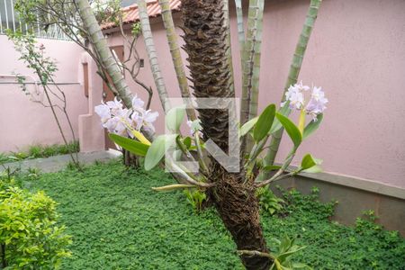 Casa para alugar com 250m², 3 quartos e 4 vagas Casa para alugar com 250m², 3 quartos e 4 vagasJardim