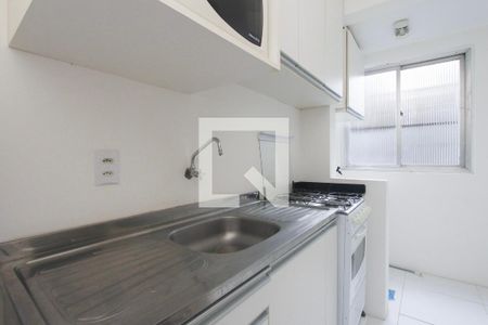 Cozinha de apartamento para alugar com 1 quarto, 60m² em Santa Rosa de Lima, Porto Alegre