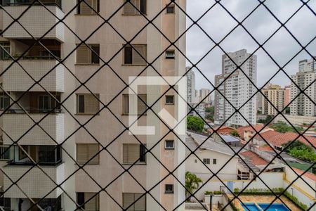 Quarto 1  de apartamento para alugar com 2 quartos, 59m² em Chácara Inglesa, São Paulo