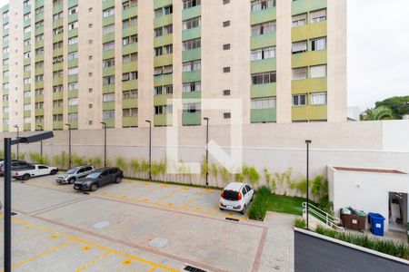 Vista - Quarto 1 de apartamento para alugar com 2 quartos, 33m² em Vila Claudia, São Paulo