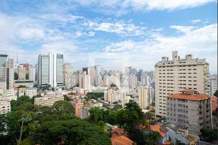 Vista da Varanda da Sala de apartamento para alugar com 1 quarto, 48m² em Morro dos Ingleses, São Paulo