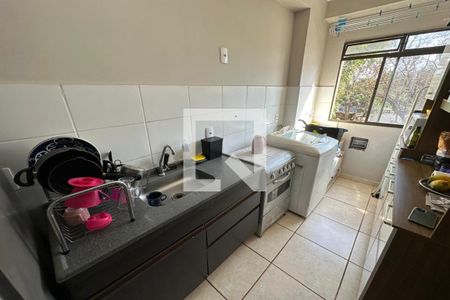 Cozinha de apartamento para alugar com 2 quartos, 43m² em Jardim Jose Sampaio Junior, Ribeirão Preto