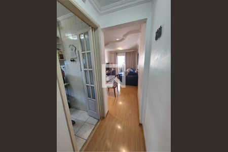 Apartamento à venda com 3 quartos, 75m² em Vila Constancia, São Paulo