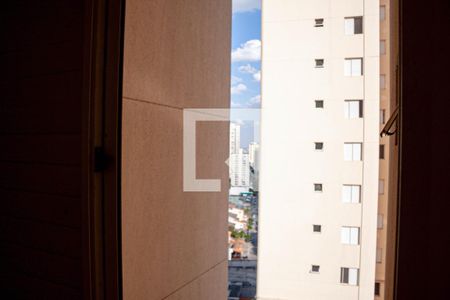 Apartamento para alugar com 4 quartos, 114m² em Vila Santo Antônio, Guarulhos