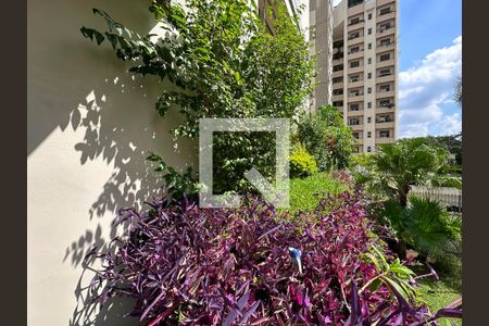 Jardim Sacada de apartamento à venda com 3 quartos, 210m² em Brooklin Novo, São Paulo