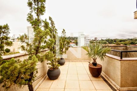 terraço de apartamento à venda com 3 quartos, 265m² em Santo Antônio, Belo Horizonte