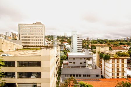 Vista de apartamento à venda com 3 quartos, 265m² em Santo Antônio, Belo Horizonte
