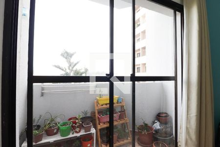 Varanda da Sala de apartamento para alugar com 2 quartos, 50m² em Vila Mangalot, São Paulo