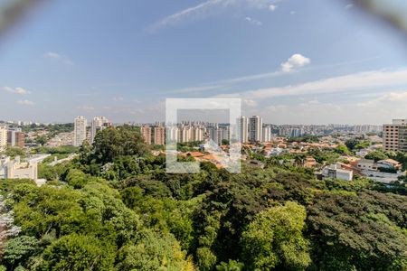 Vista Varanda  Sala de apartamento para alugar com 3 quartos, 145m² em Lar São Paulo, São Paulo