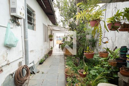 Casa à venda com 146m², 3 quartos e 3 vagas Casa à venda com 146m², 3 quartos e 3 vagasÁrea de Serviço