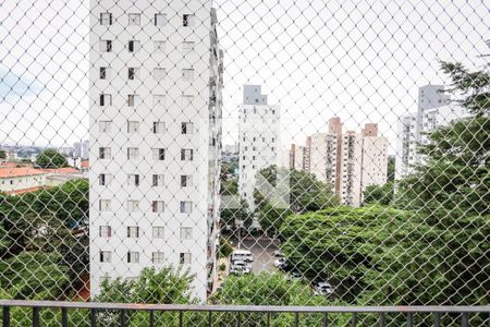 Vista da Varanda de apartamento para alugar com 2 quartos, 52m² em Jardim Umarizal, São Paulo