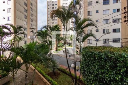Sala de apartamento para alugar com 2 quartos, 50m² em Vila Ivone, São Paulo