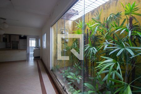 Jardim de inverno de casa à venda com 2 quartos, 250m² em Vila Curuçá, São Paulo