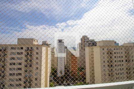 Teraço, Vista aberta de apartamento para alugar com 5 quartos, 214m² em Itaim Bibi, São Paulo