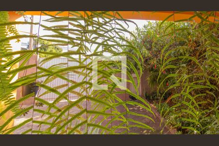 Casa à venda com 127m², 3 quartos e 3 vagas Casa à venda com 127m², 3 quartos e 3 vagasQuintal