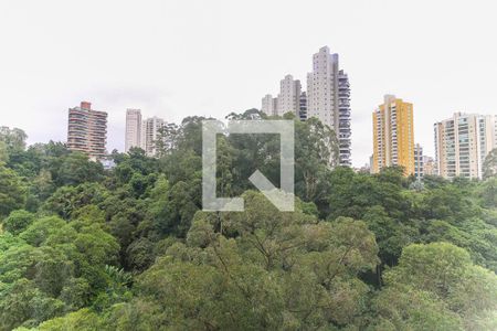 Vista da Varanda de apartamento para alugar com 2 quartos, 230m² em Jardim Fonte do Morumbi, São Paulo