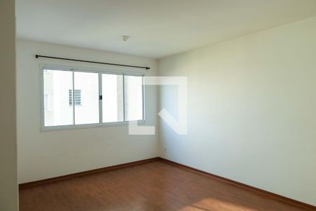 Sala e Quarto de apartamento para alugar com 1 quarto, 24m² em Vila Campanela, São Paulo