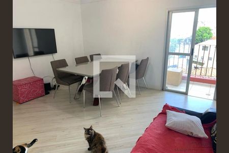 Apartamento à venda com 3 quartos, 68m² em Imirim, São Paulo