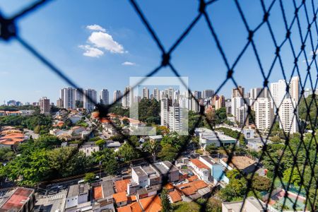 Vista da Varanda da Sala de apartamento para alugar com 3 quartos, 77m² em Jardim Caboré, São Paulo
