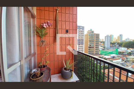 Varanda da Sala de apartamento à venda com 3 quartos, 114m² em Cambuí, Campinas