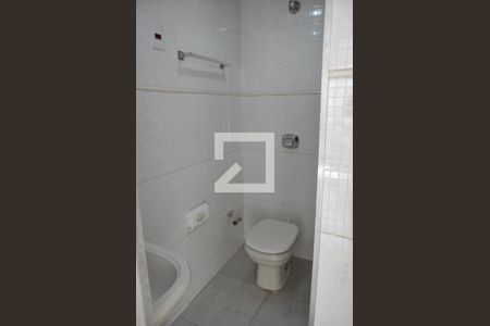Banheiro de apartamento para alugar com 2 quartos, 55m² em Riachuelo, Rio de Janeiro
