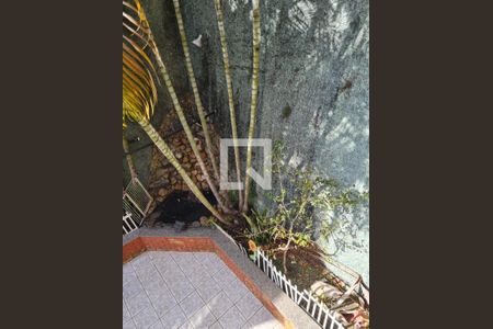 Casa à venda com 387m², 6 quartos e 6 vagas Casa à venda com 387m², 6 quartos e 6 vagasFoto 63