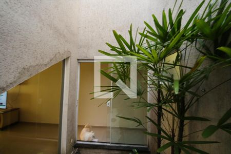 Jardim de inverno Sala de casa à venda com 3 quartos, 217m² em Vila Olinda, São Paulo