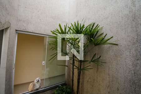 Jardim de inverno Sala de casa para alugar com 3 quartos, 217m² em Vila Olinda, São Paulo