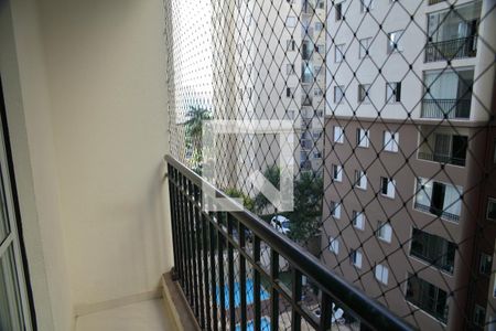 Varanda da Sala de apartamento para alugar com 3 quartos, 72m² em Nova Petrópolis, São Bernardo do Campo