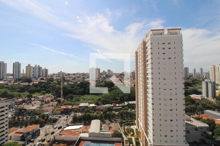 Vista de apartamento para alugar com 4 quartos, 184m² em Cambuí, Campinas