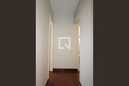 Corredor  de apartamento para alugar com 4 quartos, 184m² em Cambuí, Campinas