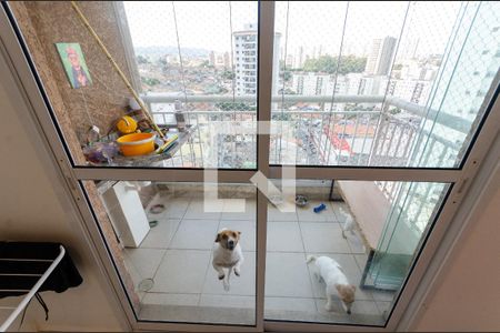 Sacada de apartamento para alugar com 2 quartos, 52m² em Vila Marina, São Paulo
