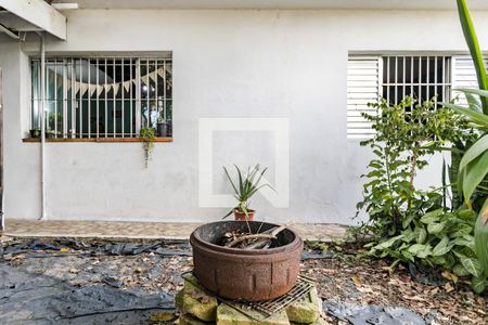 Quintal de casa para alugar com 2 quartos, 300m² em Vila Nova Cintra, Mogi das Cruzes