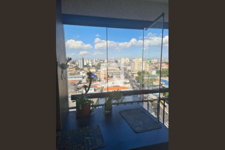 Apartamento à venda com 2 quartos, 67m² em Vila Mascote, São Paulo