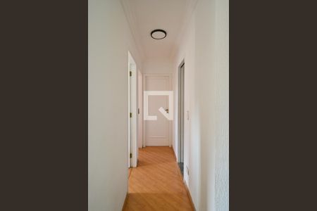 Corredor de apartamento para alugar com 3 quartos, 63m² em Vila Arapuã, São Paulo