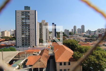 Apartamento à venda com 3 quartos, 85m² em Vila Itapura, Campinas