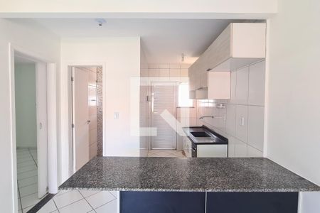 Cozinha de apartamento para alugar com 2 quartos, 60m² em Santa Cruz da Serra, Duque de Caxias