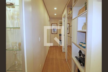 Sala - Corredor de apartamento à venda com 3 quartos, 80m² em Vila Guilherme, São Paulo
