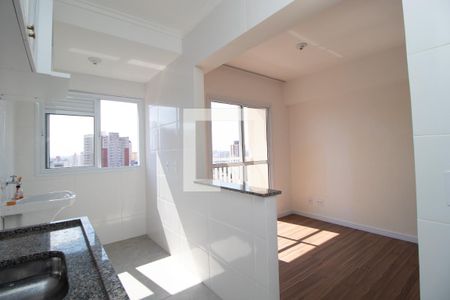 Cozinha de apartamento para alugar com 1 quarto, 38m² em Vila Assunção, Santo André