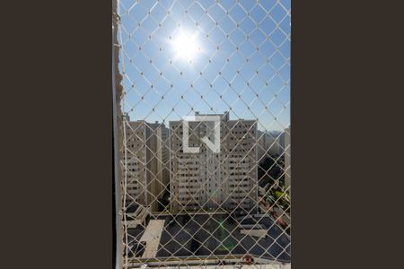 Quarto 1 vista de apartamento para alugar com 2 quartos, 42m² em Jardim Íris, São Paulo