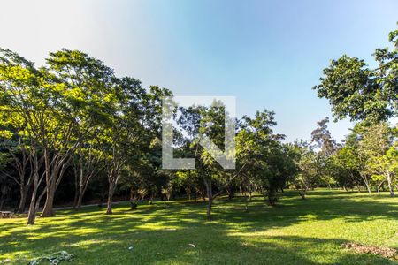 Apartamento à venda com 81m², 3 quartos e 1 vaga Apartamento à venda com 81m², 3 quartos e 1 vagaParque Tietê Ecológico Barueri