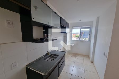 Cozinha - Lavanderia de apartamento para alugar com 2 quartos, 50m² em Residencial Parque dos Servidores, Ribeirão Preto