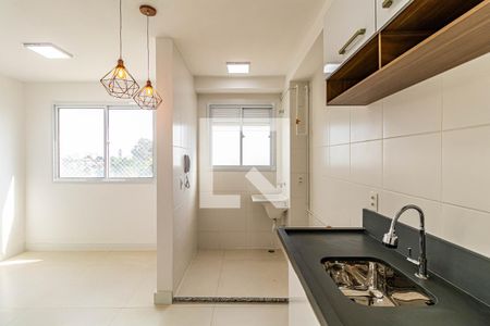 Lavanderia de apartamento para alugar com 2 quartos, 40m² em Jardim Jaqueline, São Paulo