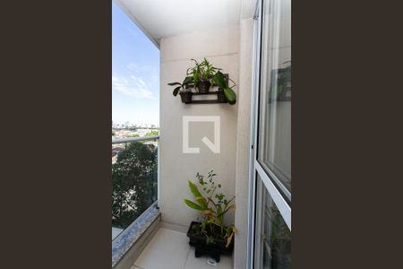 Varanda da Sala de apartamento para alugar com 2 quartos, 47m² em Vila Moreira, São Paulo