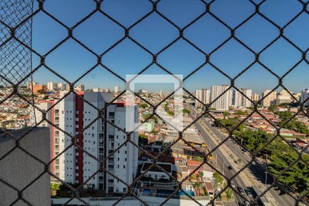 Quarto 1 vista de apartamento para alugar com 3 quartos, 65m² em Vila Santa Catarina, São Paulo