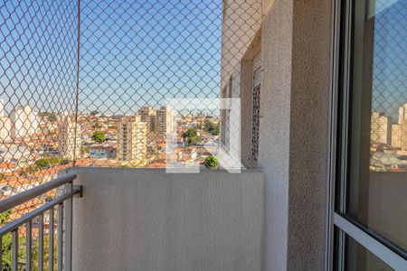 Varanda de apartamento para alugar com 3 quartos, 65m² em Vila Santa Catarina, São Paulo