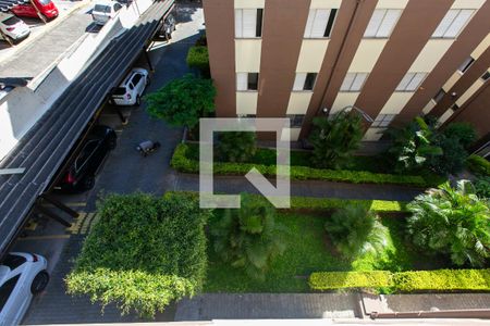 Vista / Quarto 1 de apartamento para alugar com 2 quartos, 64m² em Vila Carmosina, São Paulo