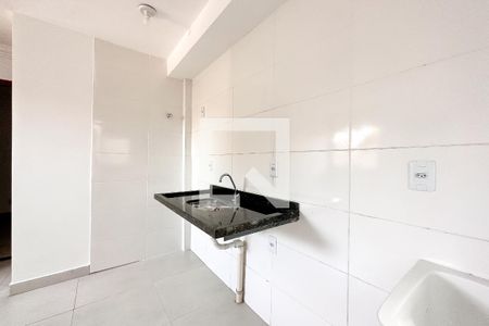 Cozinha e Área de Serviço de apartamento para alugar com 2 quartos, 39m² em Lapa de Baixo, São Paulo