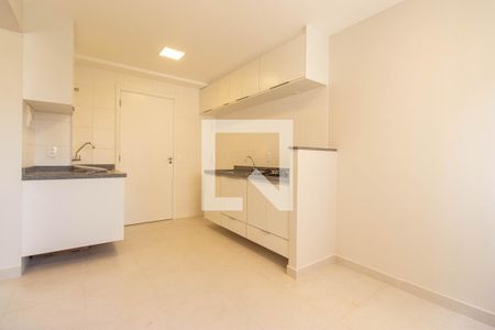 Sala - Cozinha - Área de serviço de apartamento para alugar com 2 quartos, 33m² em Cambuci, São Paulo