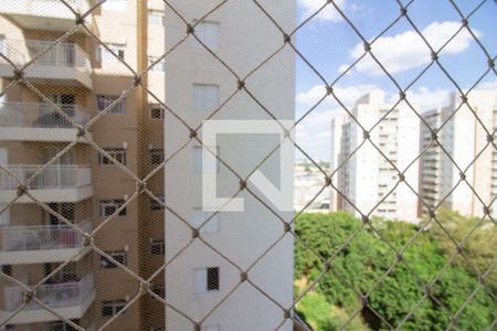 Vista da Suíte de apartamento à venda com 3 quartos, 71m² em Macedo, Guarulhos